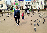 На центральной площади помимо мусора было очень много голубей