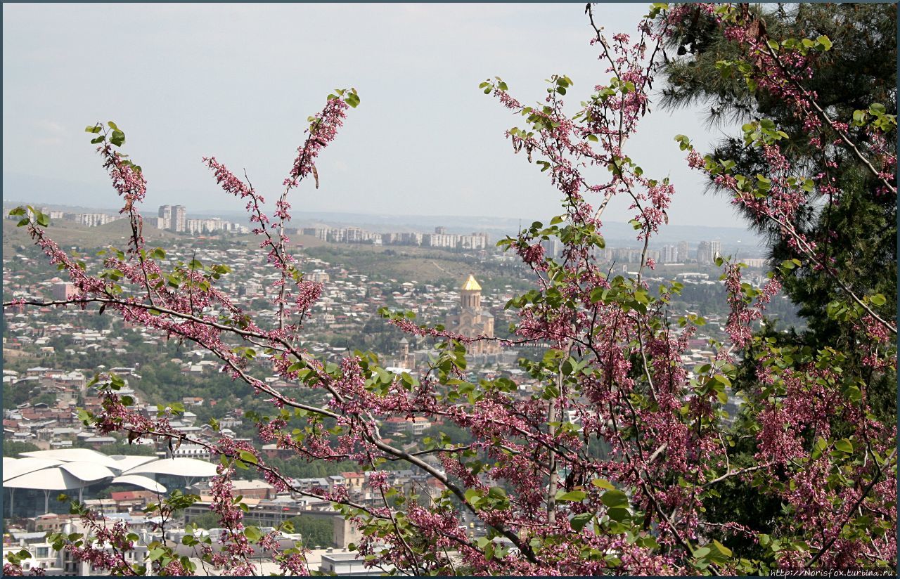 Виды на Тбилиси с горы Мтацминда Грузия