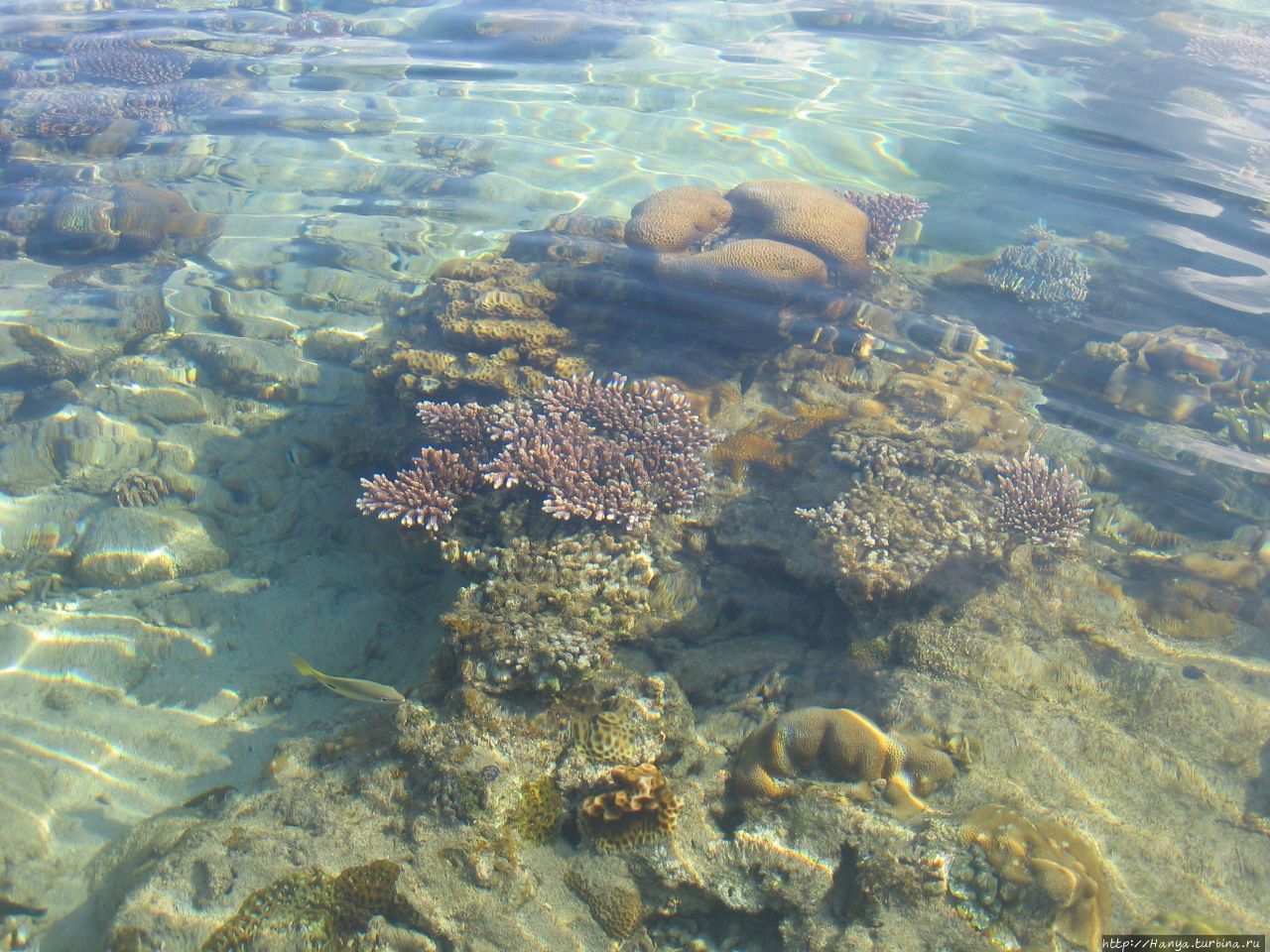 Пляж отеля Berjaya Tioman Beach Пулау-Тиоман, Малайзия