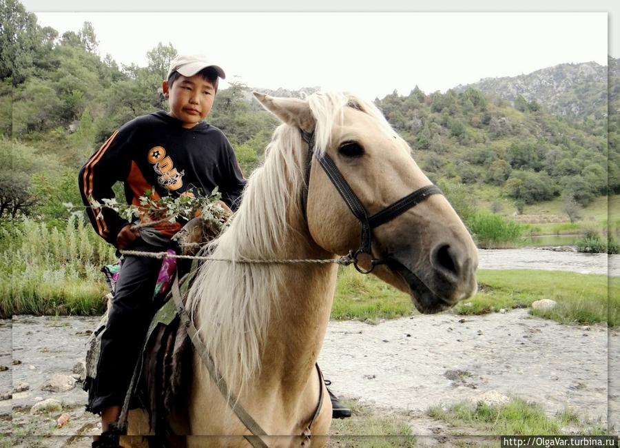 Сказочный конь Тулпар Сары-Челекский заповедник, Киргизия