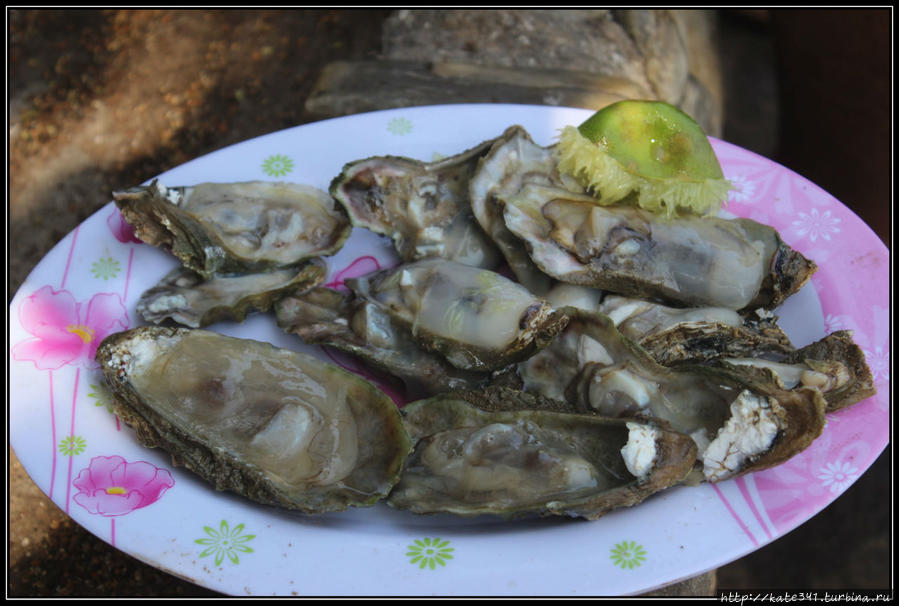 Галопом по Америкам. Финал. Венесуэльские калаши и море Чорони, Венесуэла