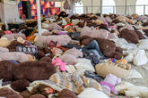 7. Что вы знаете об уюте? Вот в этой огромной палатке навалены десятки огромных мишек, перин и подушек. А среди них спят несколько человек. Сколько несколько?