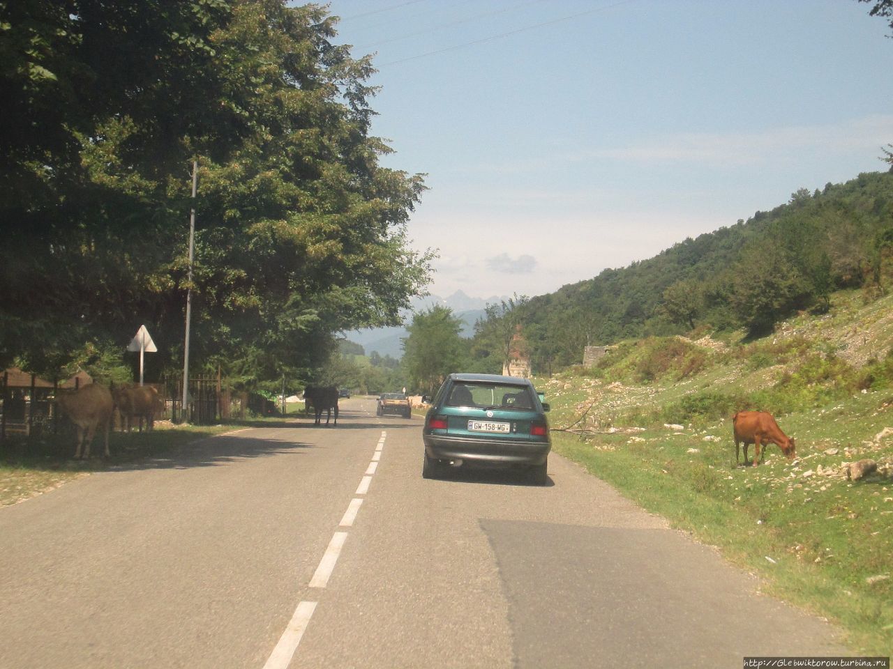 Поездка в Мартвили автостопом Имеретия, Грузия
