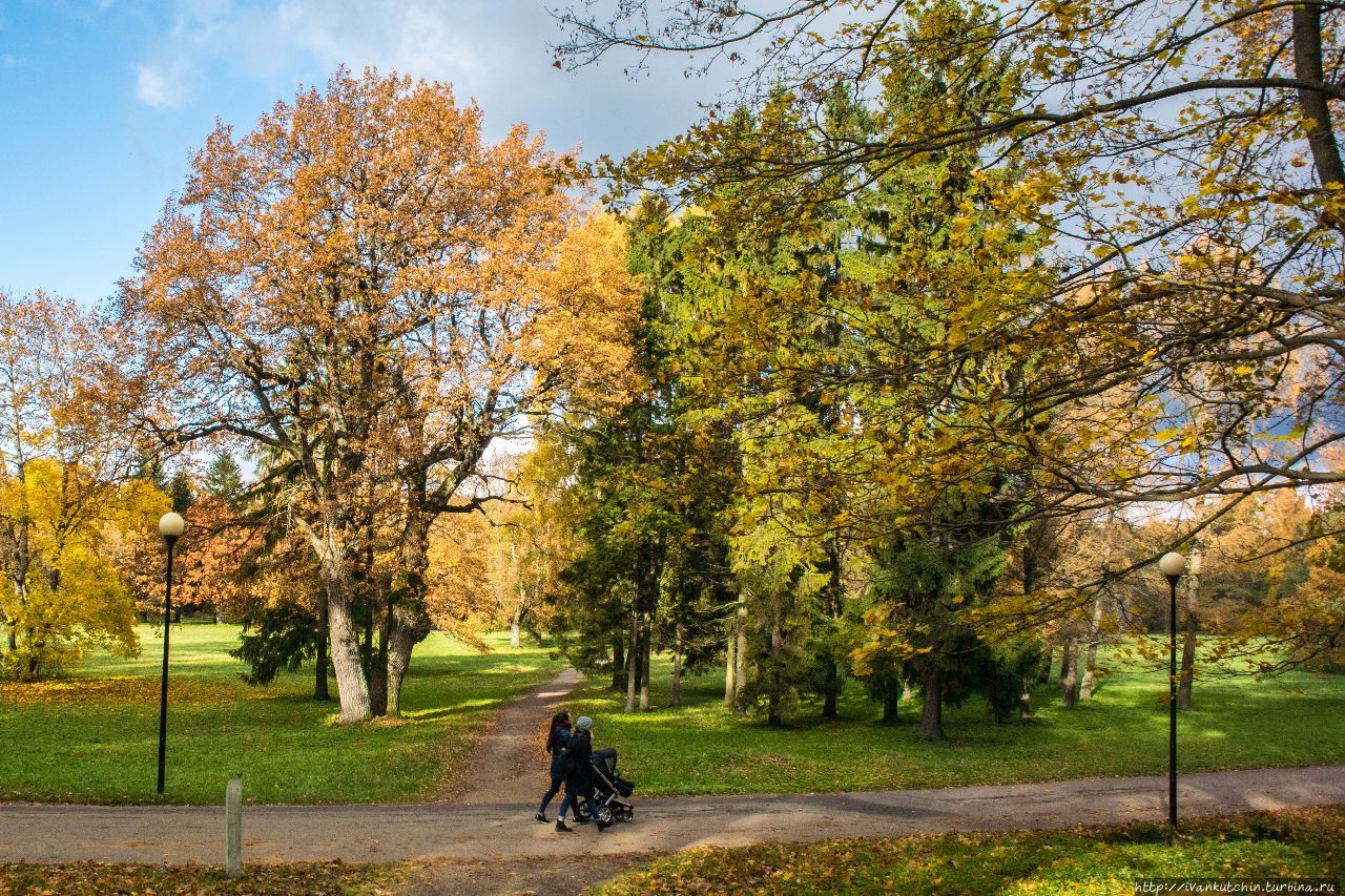 Солнечная осень Таллин, Эстония