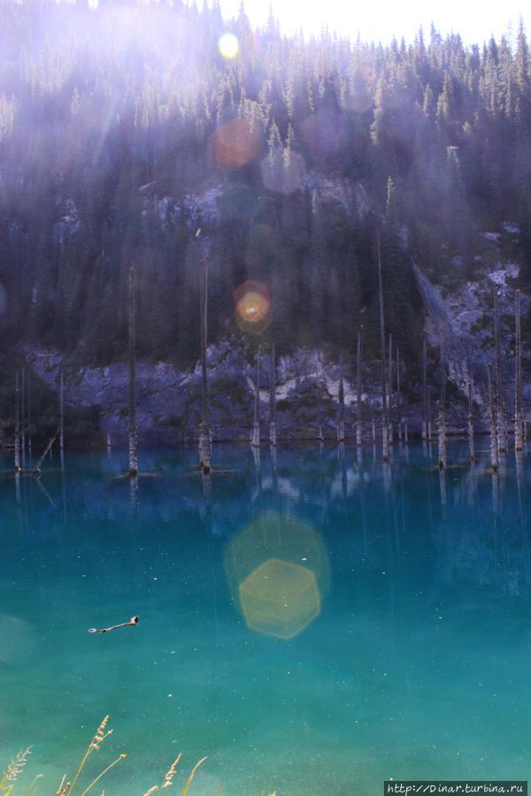Дно озера чистое и прозрачное... Кольсайские Озера Национальный Парк, Казахстан