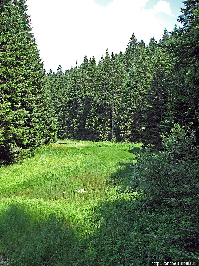 Природа национального парка Дурмитор, Черногория Национальный парк Дурмитор, Черногория