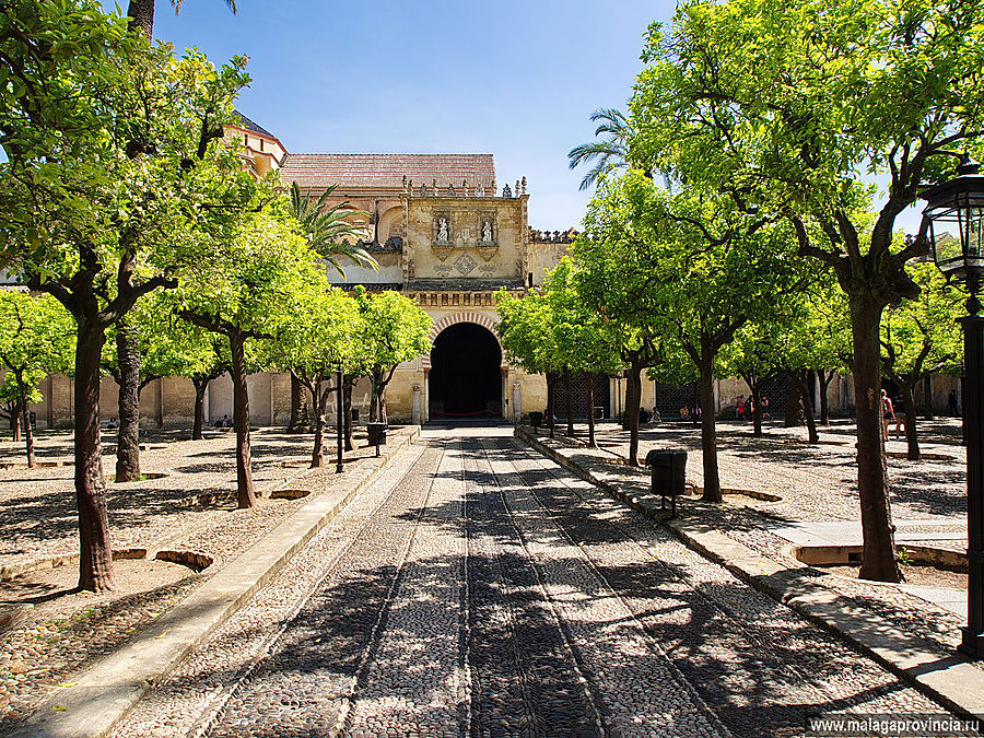 Знаменитые внутренние дворики Кордобы. Patios de Córdoba Кордова, Испания