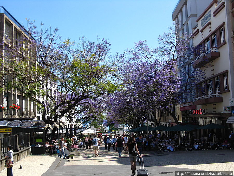 Фуншал. Центр.