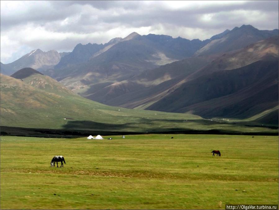 Сусамырская долина Чуйская область, Киргизия