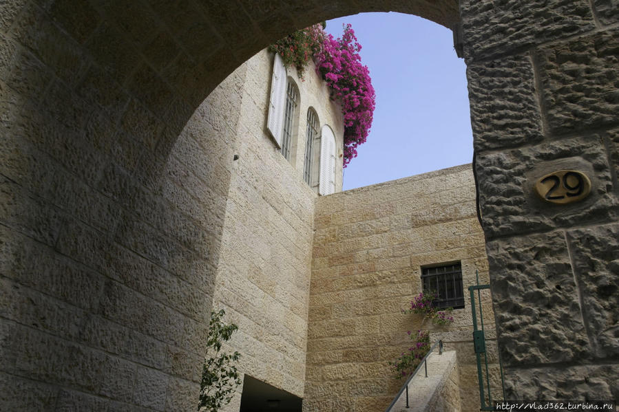 Только камень и цветы. Иерусалим, Израиль