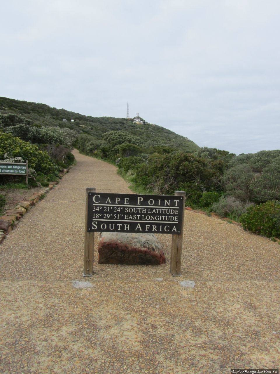 Из интернета Кейптаун, ЮАР