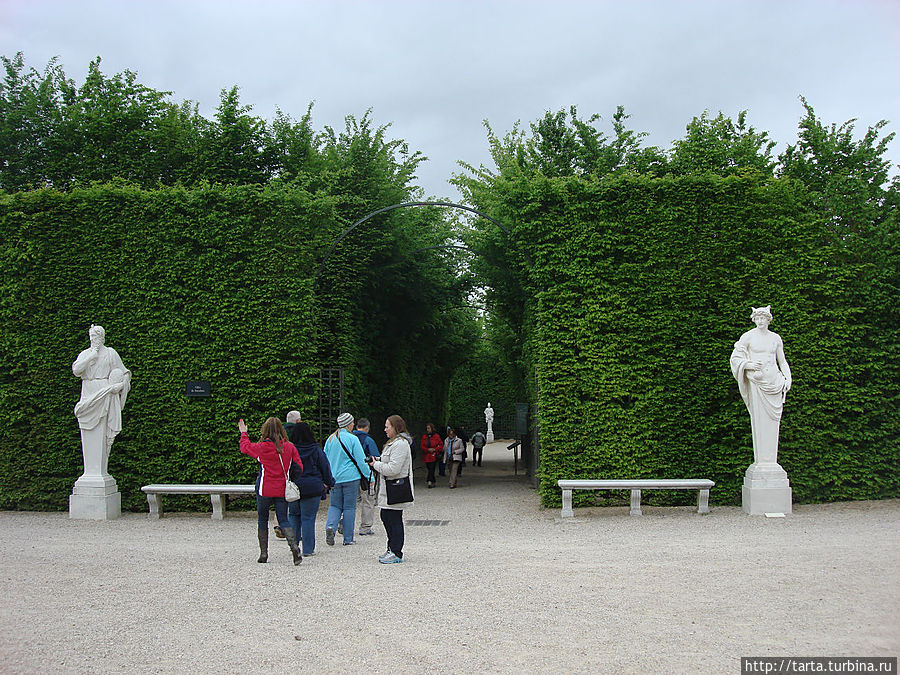 Живые изгороди Версаль, Франция