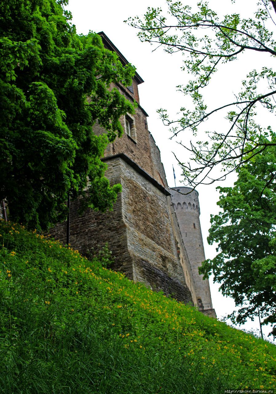 Замок Тоомпеа Таллин, Эстония