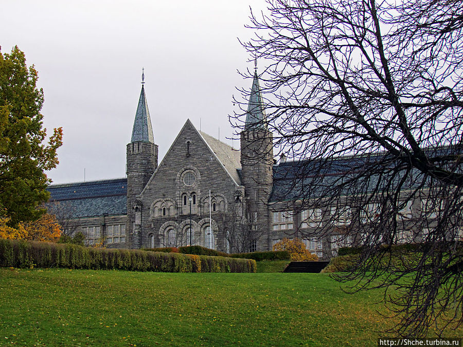 университет