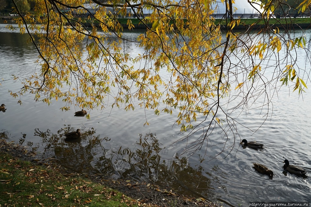 Несколько часов в парке Царицыно. Москва (город - регион), Россия