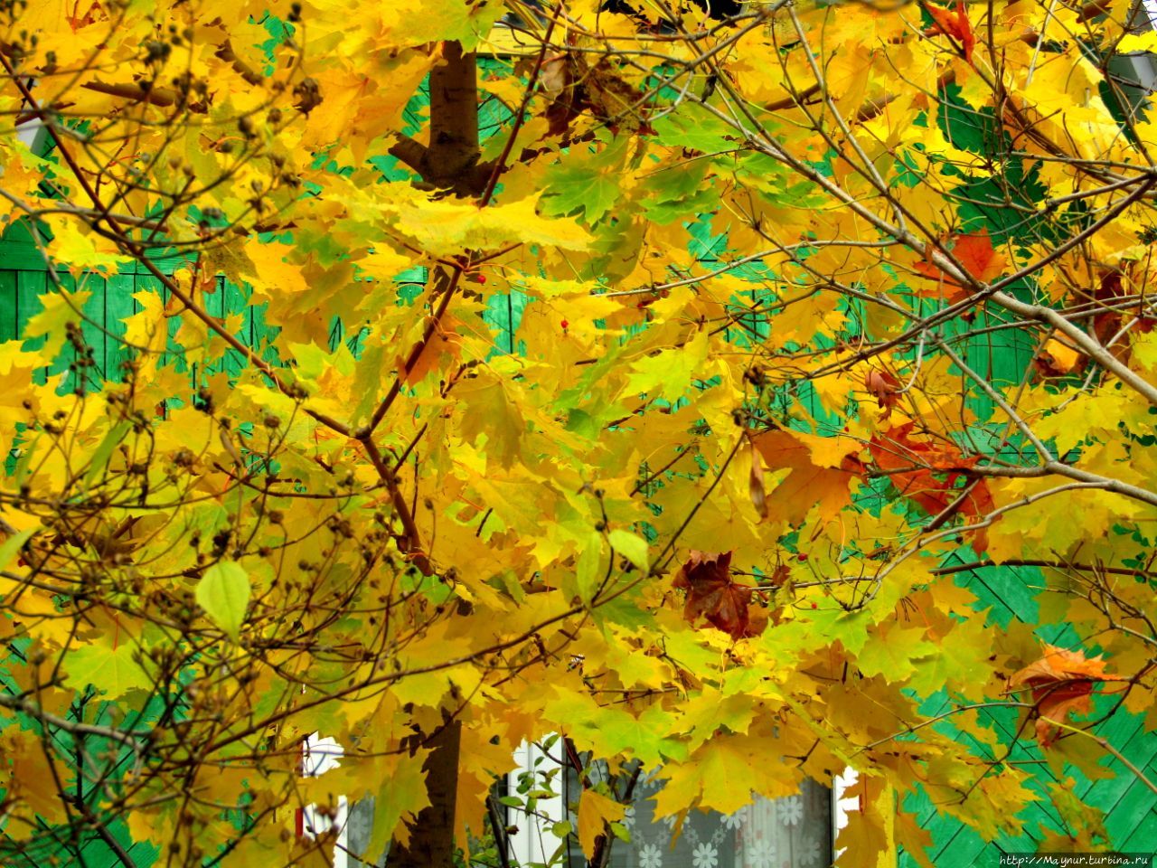 Осенние этюды Долинск, Россия Осенние этюды Долинск, Россия