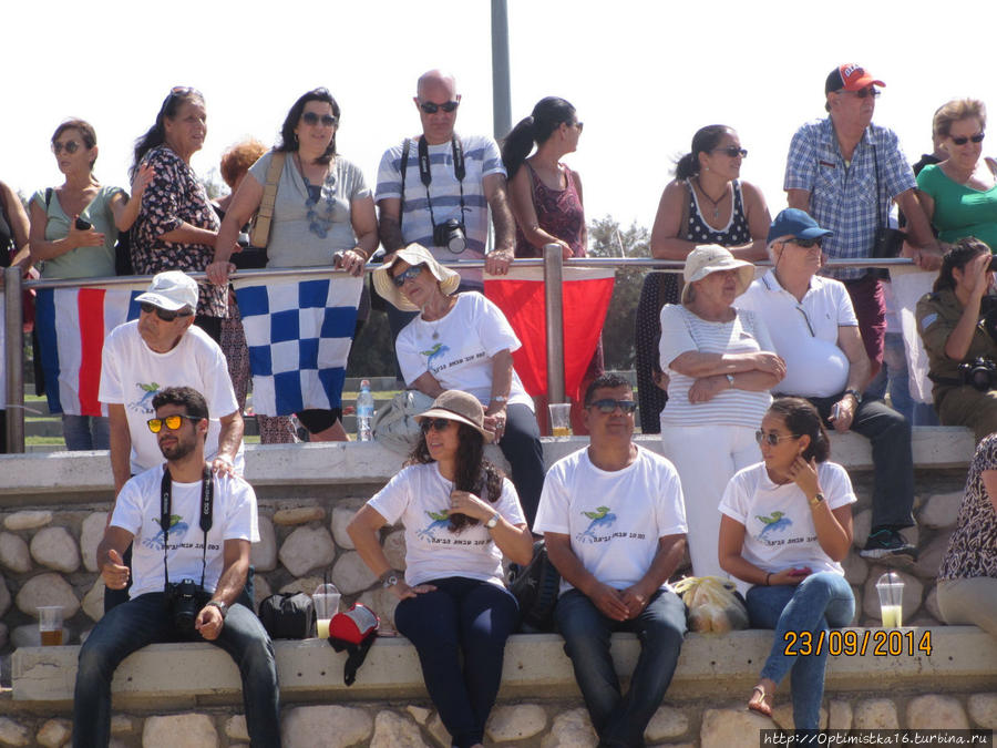 К нам приплыл 