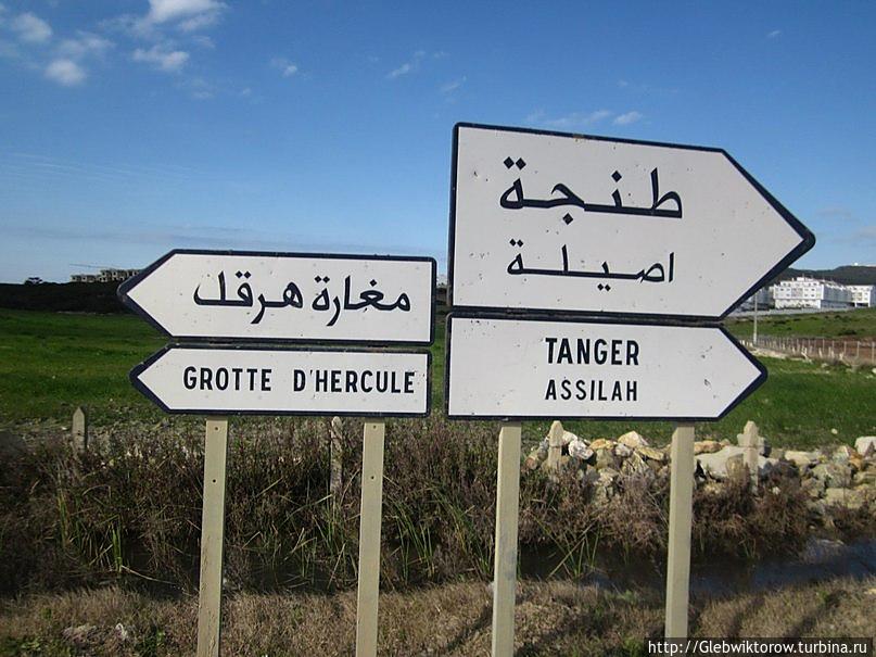 Прогулка из центра Танжера к мысу Спартель Марокко
