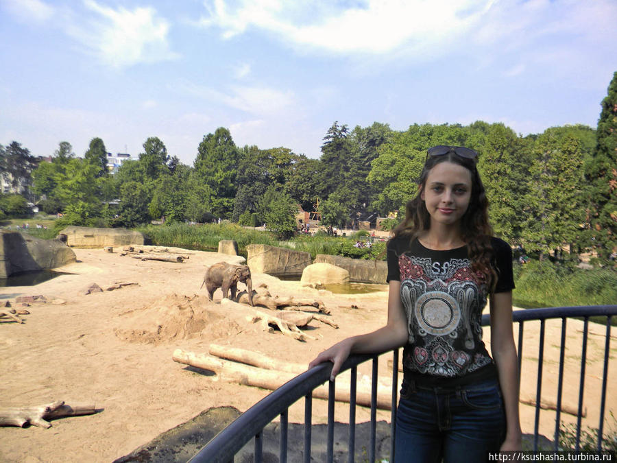 С террасы старого слоновьего дома можно видеть их теперешние обширные владения Кёльн, Германия