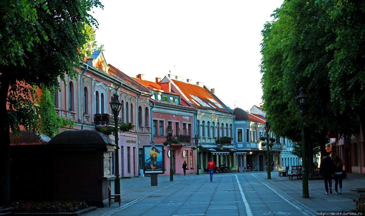 Вильнюсская улица по городу идет... значит нам туда дорога