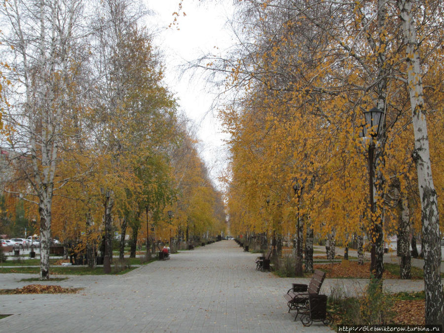 Бульвар Николая Чукмалдина Тюмень, Россия