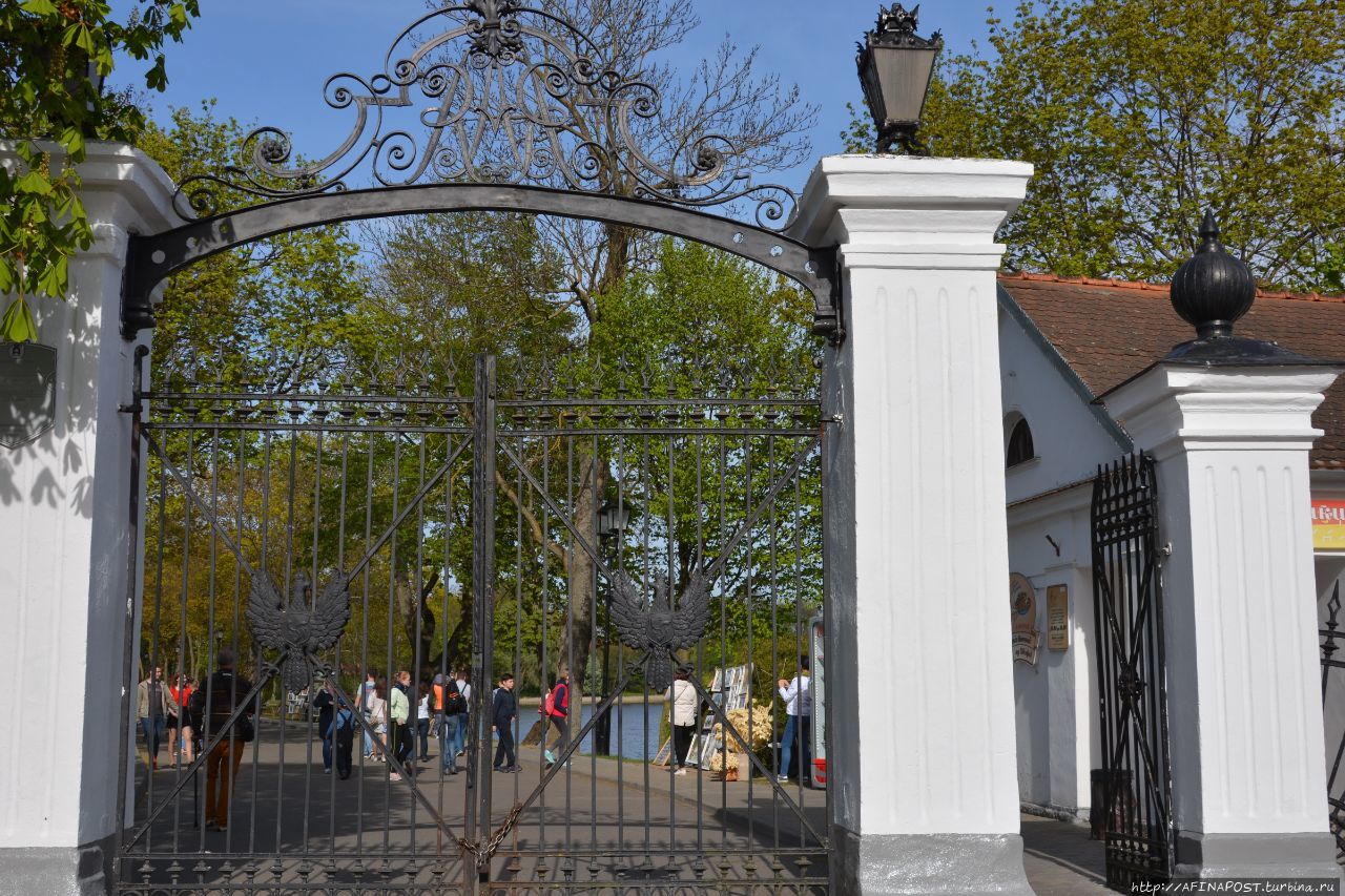 Несвижский замок Несвиж, Беларусь