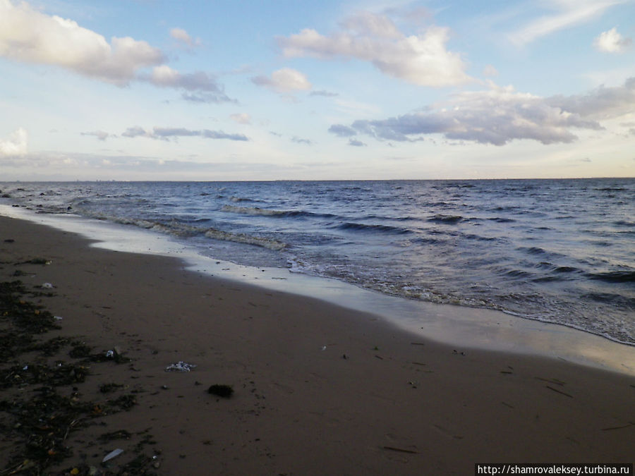 Вдоль берега моря Зеленогорск, Россия