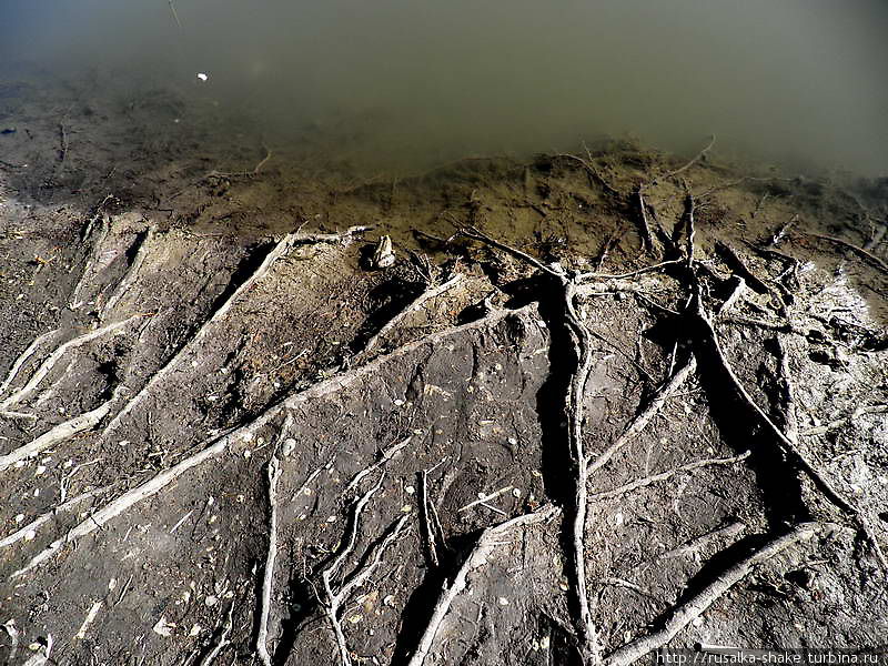 Мертвый Донец — живая вода Недвиговка, Россия