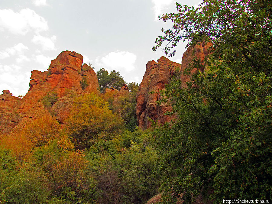 в рассветных лучах и так красные скалы просто пылают