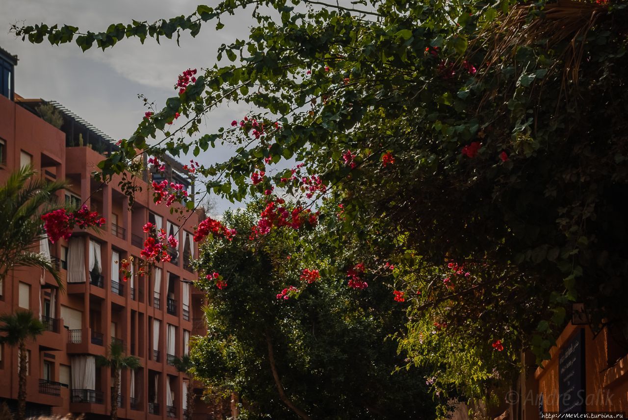 Небольшой сад в Марракеше Марракеш, Марокко