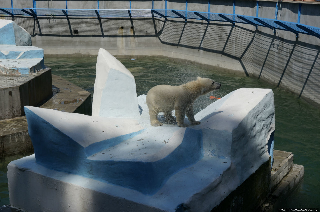 Новосибирский зоопарк Новосибирск, Россия