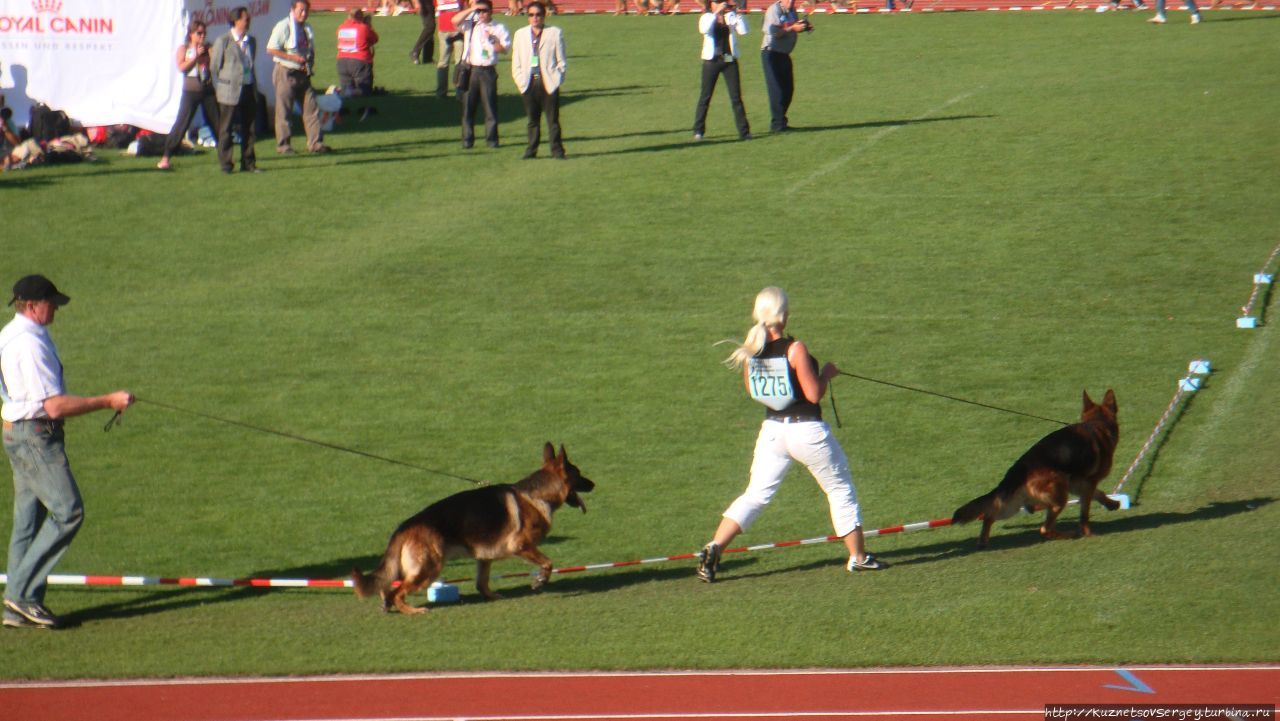 Зигер в Ульме Ульм, Германия Зигер в Ульме Ульм, Германия