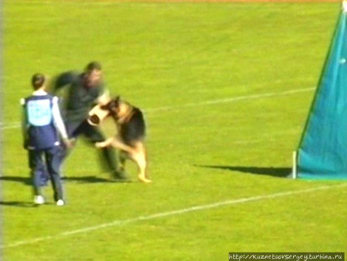 Первый день Зигера в Ульме. Проверка поведения. Германия