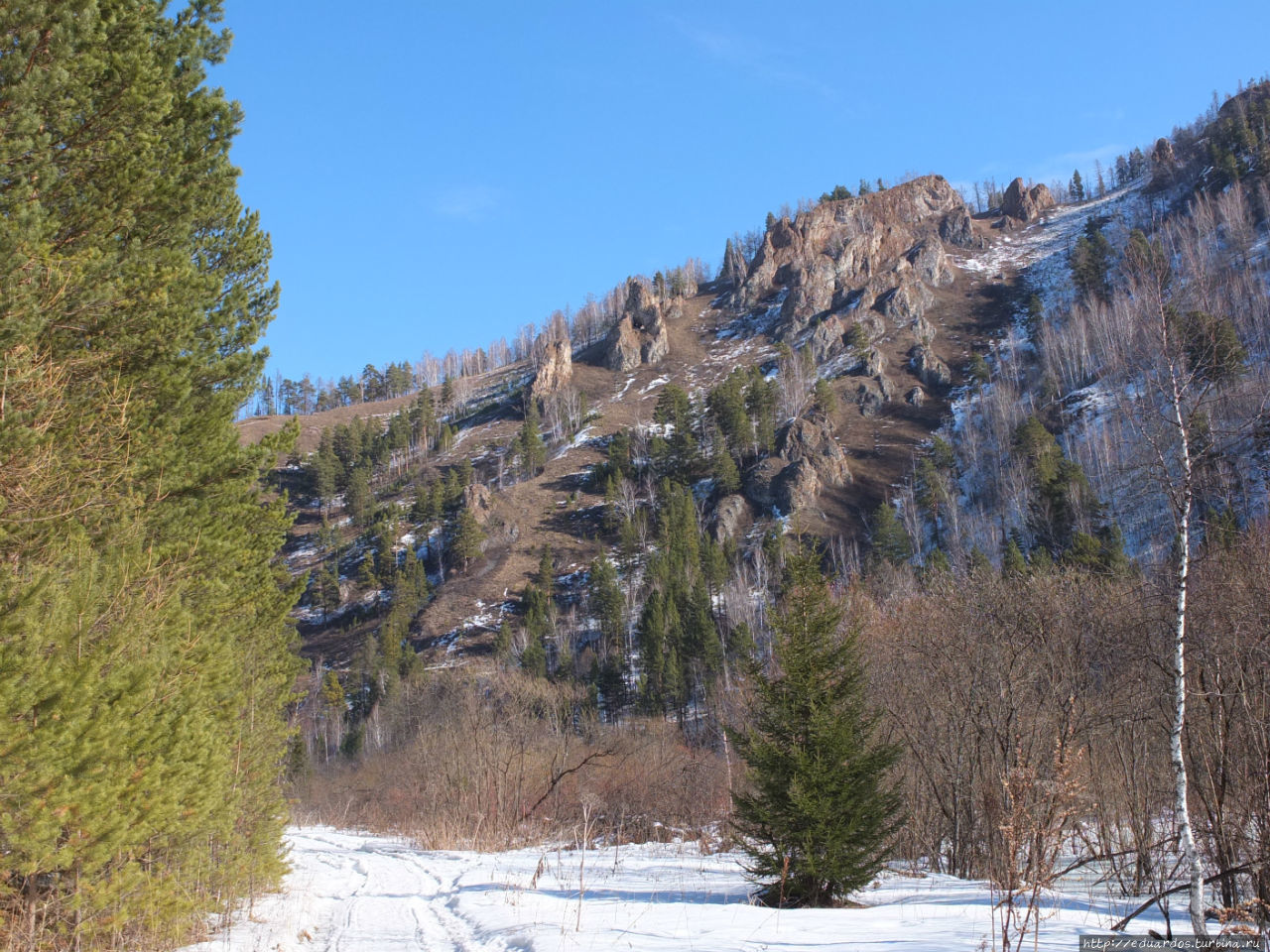 С настроением весеннего леса... Красноярск, Россия