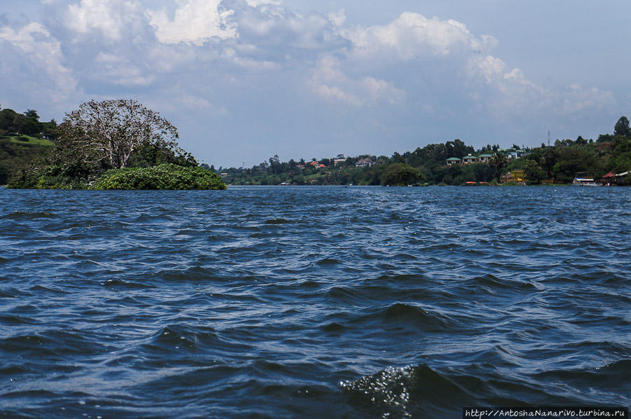 Вид из озера на один из рукавов Нила Джинджа, Уганда