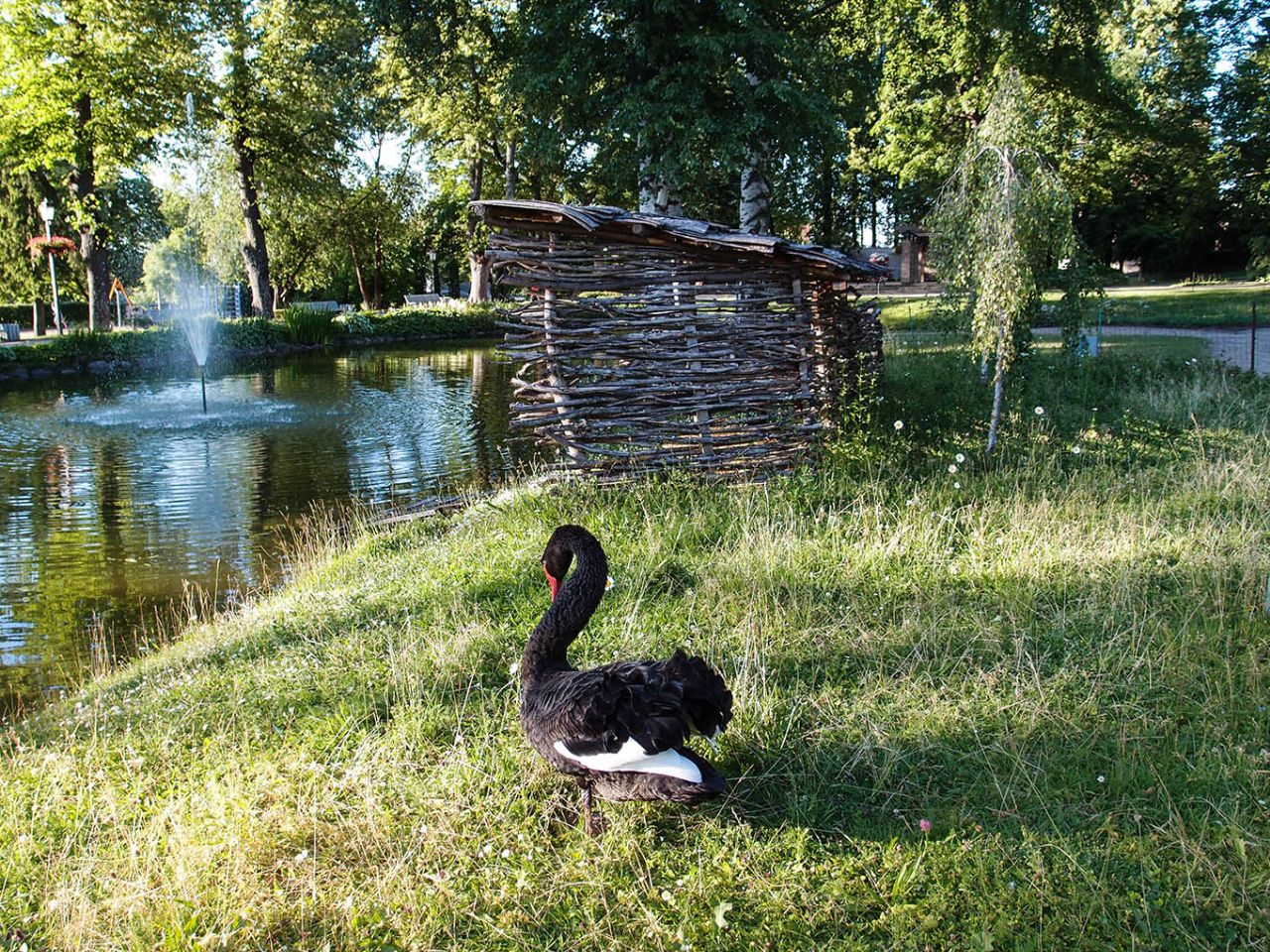 Вечерний Цесис Цесис, Латвия