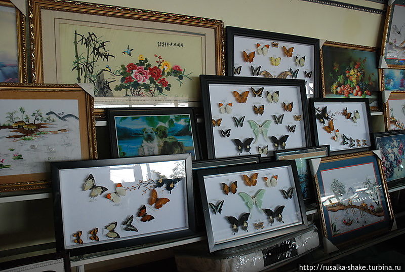 Вьетнам – новый кофейный лидер Далат, Вьетнам