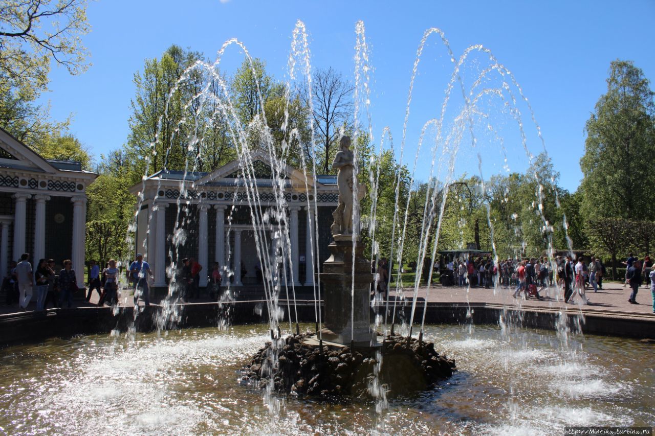 Кошмар на улице Rahu Петергоф, Россия