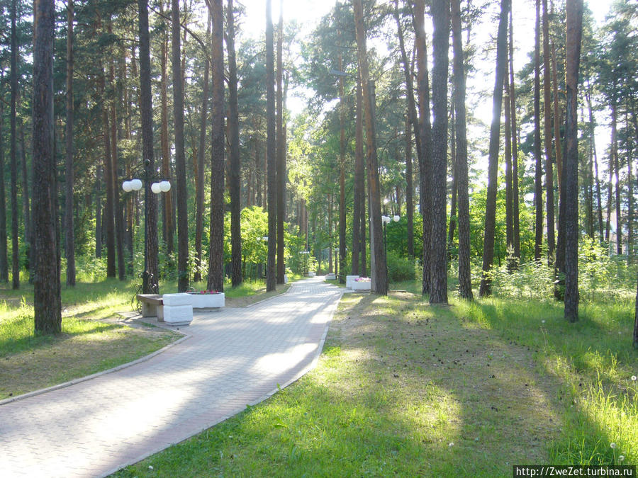 Сестрорецкий курорт Сестрорецк, Россия