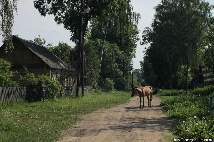 Краткий экскурс в Могилевскую область Могилевская область, Беларусь