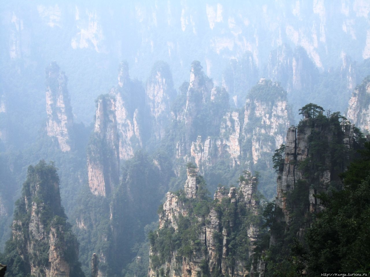 Резерват Тяньцзышань Чжанцзяцзе Национальный Лесной Парк (Парк Аватар), Китай
