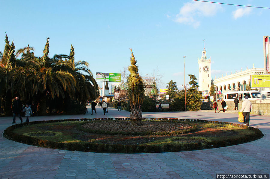 через 5 дней от снега не осталось и следа