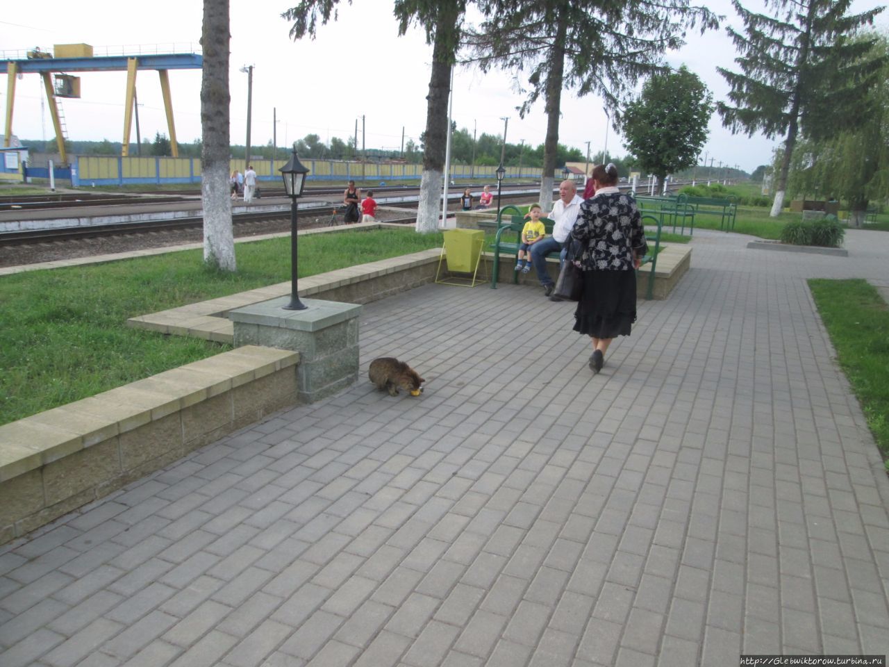 Поездка в Ельск Ельск, Беларусь