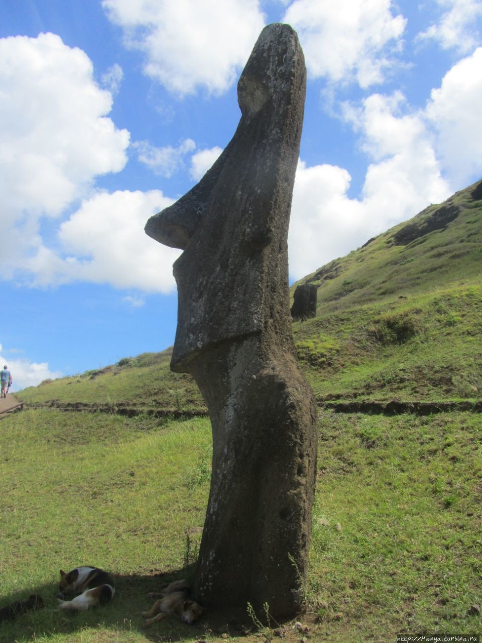 Рано Рараку – колыбель гигантских  моаи. Ч.69