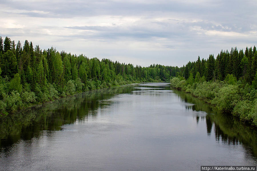 Река Мылва Республика Коми, Россия
