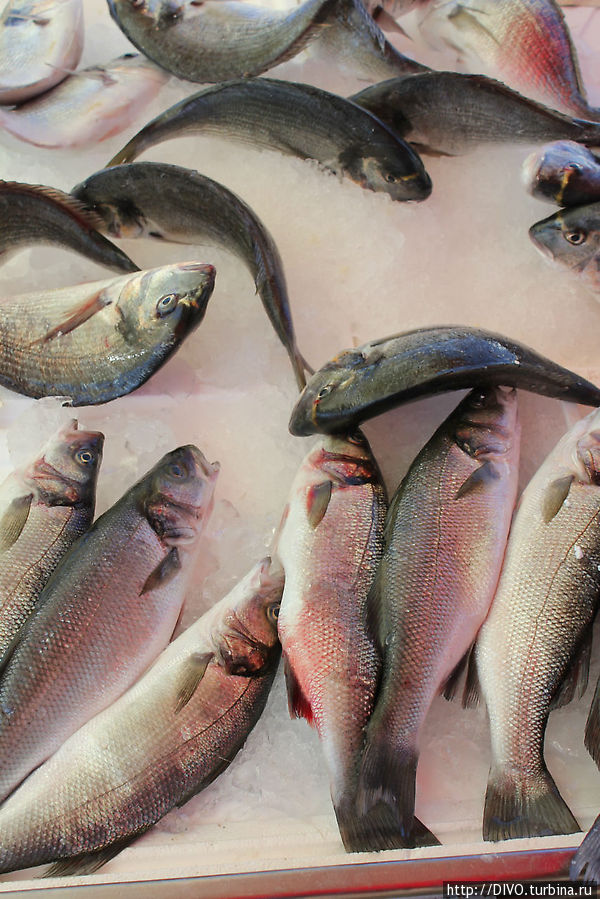 Ираклион, о.Крит Ираклион, Греция