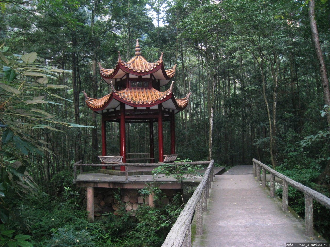 Каньон Золотой Кнут Чжанцзяцзе Национальный Лесной Парк (Парк Аватар), Китай