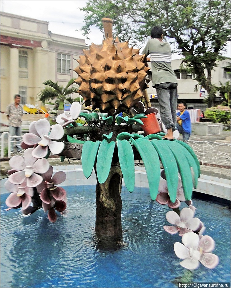 Фонтанистый дуриан