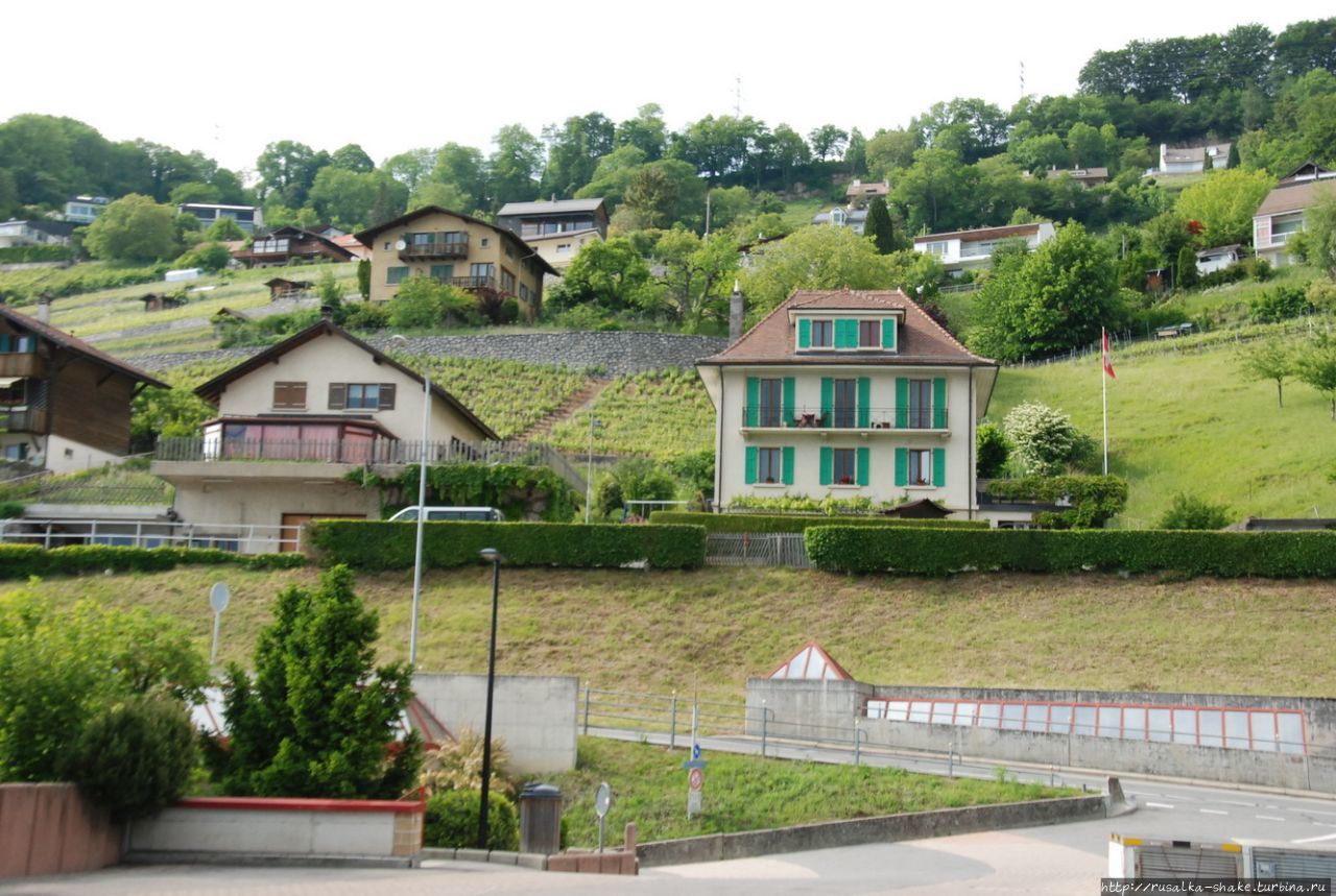 Виноградники Лаво Жонни, Швейцария