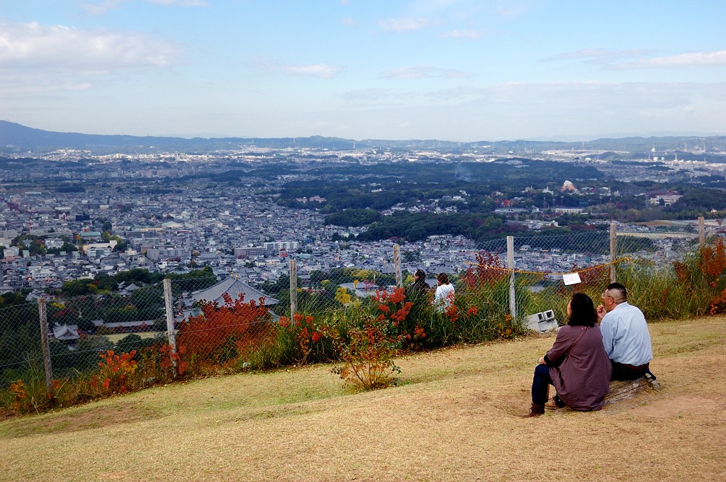 Вид с горы на Нару